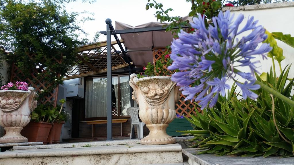 Apartment Casetta Delle Muse *