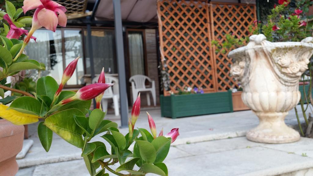 Apartment Casetta Delle Muse *