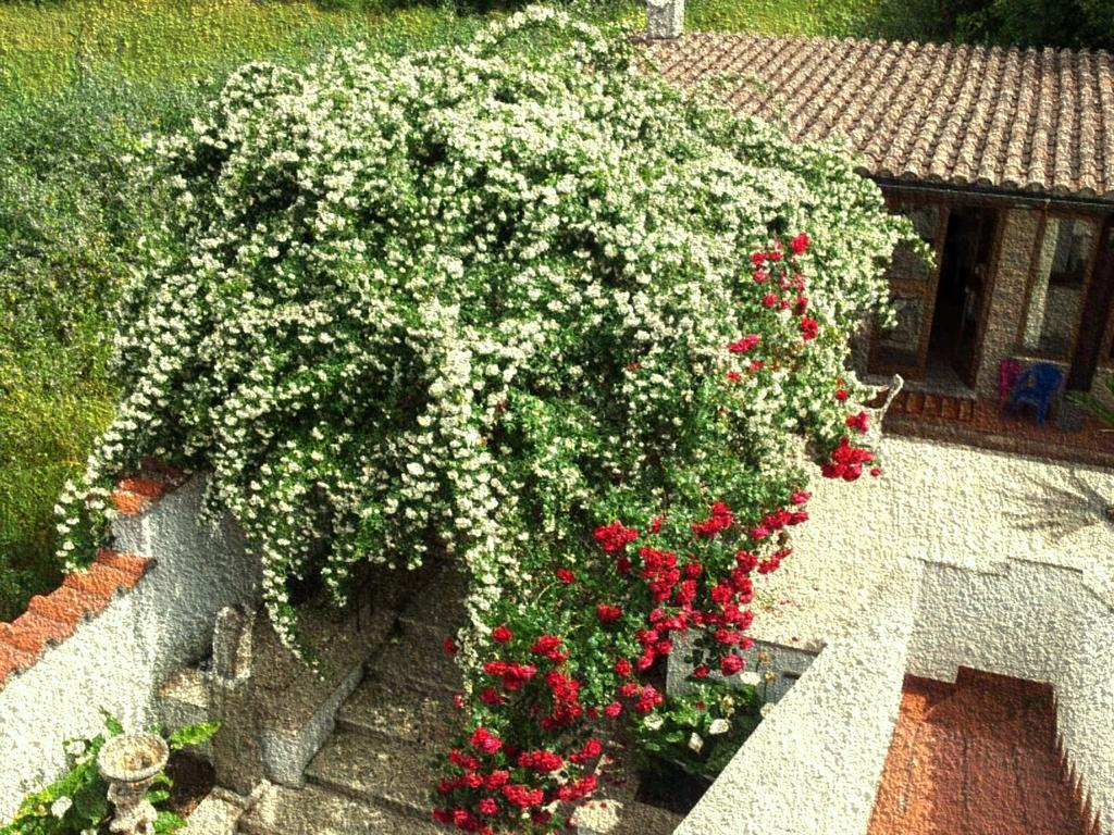 Apartment Casetta Delle Muse *